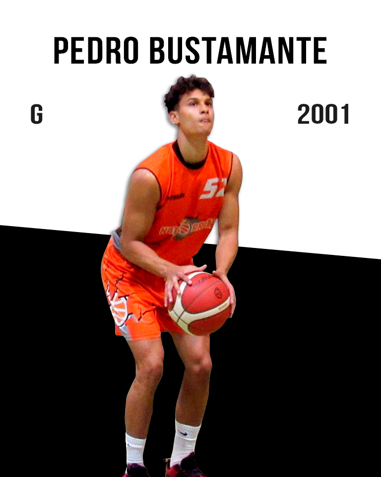 Pedro Bustamante
